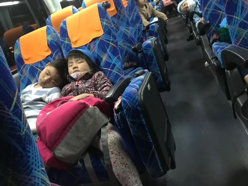 20201024自然保育(バス)３.JPG