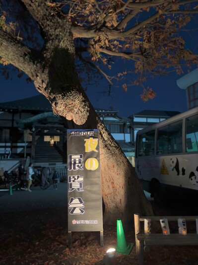 夜の展覧会.jpg